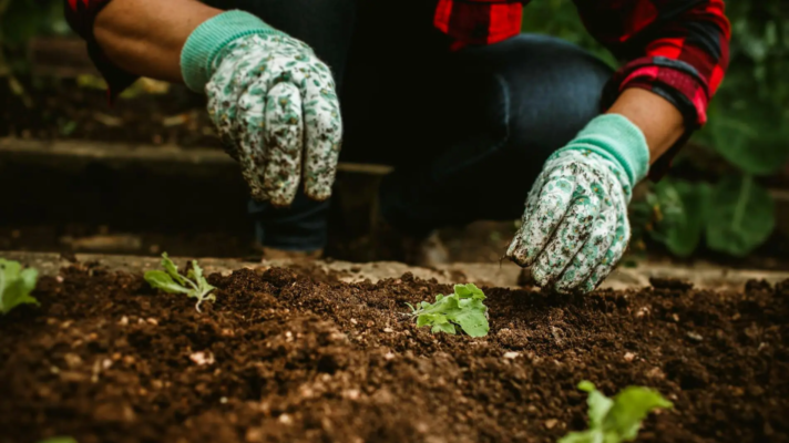 3 ypatingos dienos sode kovo men